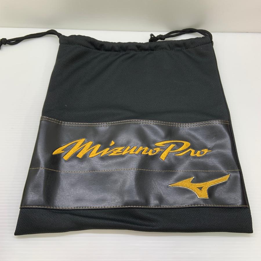 ミズノ MIZUNO ミズノプロ mizunopro 1AJCH26220 硬式 大人 一般