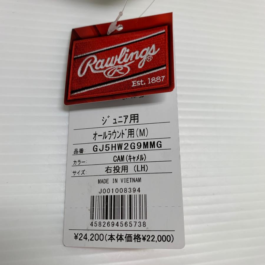 ローリングス Rawlings HOH 少年軟式 子ども オールラウンド グローブ