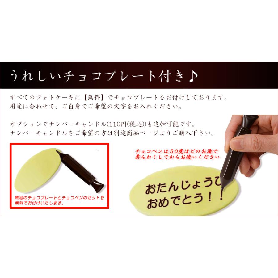 フォトケーキsサイズ 写真ケーキ バースデーケーキ P0500 東京池ノ上ピエール 通販 Yahoo ショッピング