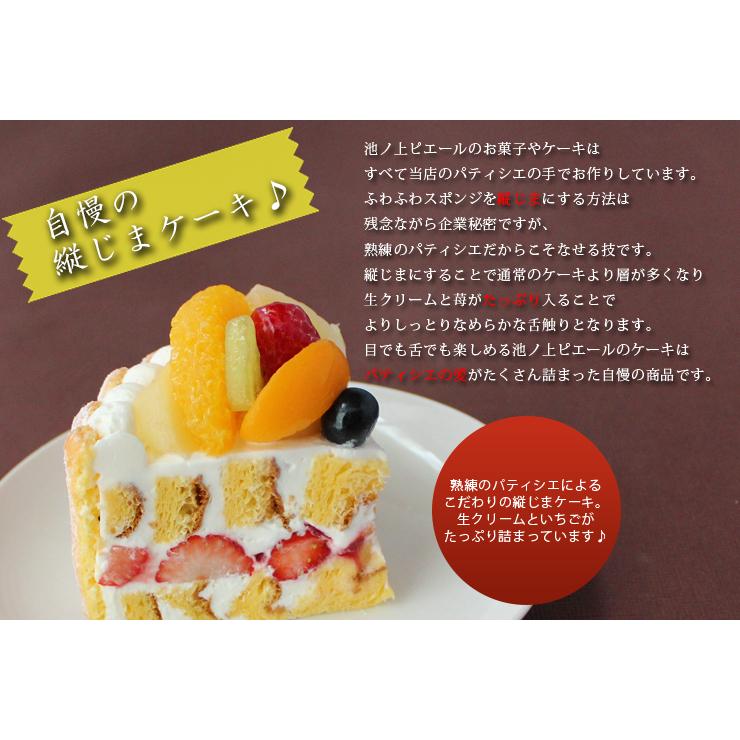 7種のフルーツショートケーキlサイズ バースデーケーキ P0542 東京池ノ上ピエール 通販 Yahoo ショッピング