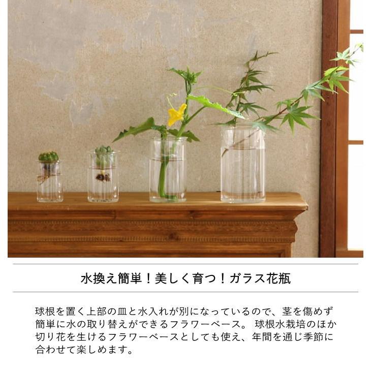 SPICE of Life（スパイス オブ ライフ） BULBVASE 水栽培ガラスベース