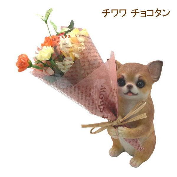 即出荷 チワワ チョコタン 母の日 プレゼント ギフト ブーケ 花束 造花 観葉植物 オブジェ 置物 犬 イヌ かわいい Ctミニョンブーケ 12 丸和貿易 ピクニックと雑貨のピッチ 通販 Yahoo ショッピング