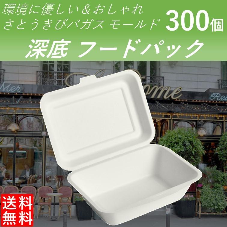 テイクアウト容器 フードパック バガスモールド 横長 深底 300個 
