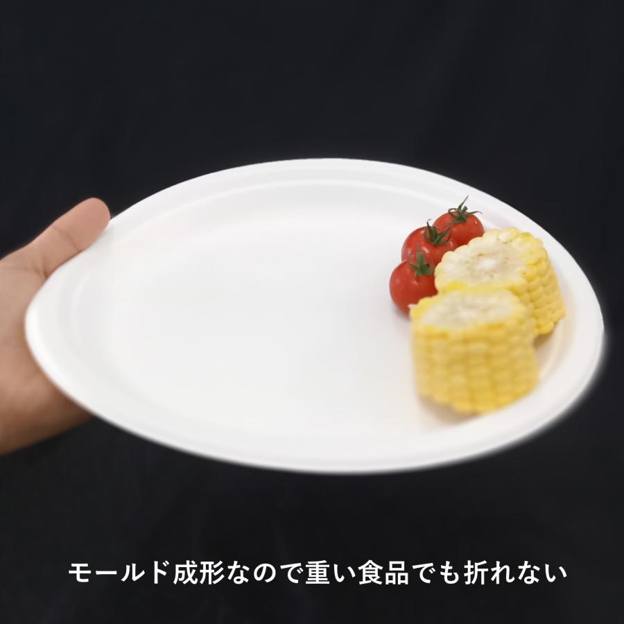 使い捨て皿 エコで丈夫なバガスプレート 平皿中 200枚 バーベキュー