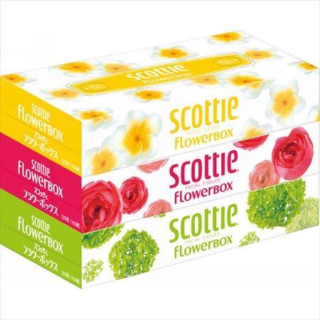 スコッティフラワー １６０ｗ ３箱 041952 Scottie ボックス