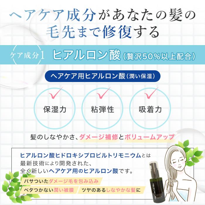 洗い流さない トリートメント ヘアコートジェルMax 50ml＋100ml