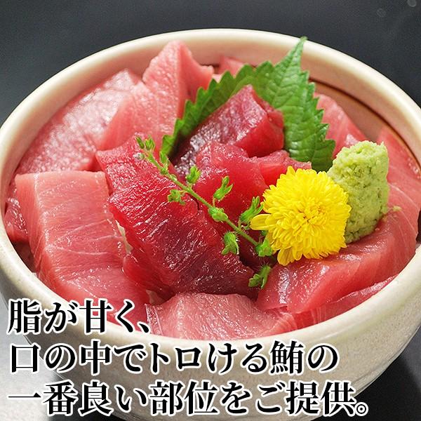 ミナミマグロ中トロ500g(250g×2) 送料無料/刺身/マグロ/まぐろ/南鮪/中
