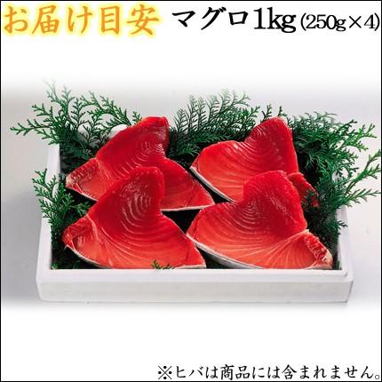 ミナミマグロ中トロ1.0kg(250g×4)　送料無料 刺身 まぐろ 南鮪 中トロ 赤身 ギフト 贈り物 がってん寿司 年末年始 お正月 お年賀 御年賀｜e-rdc｜06