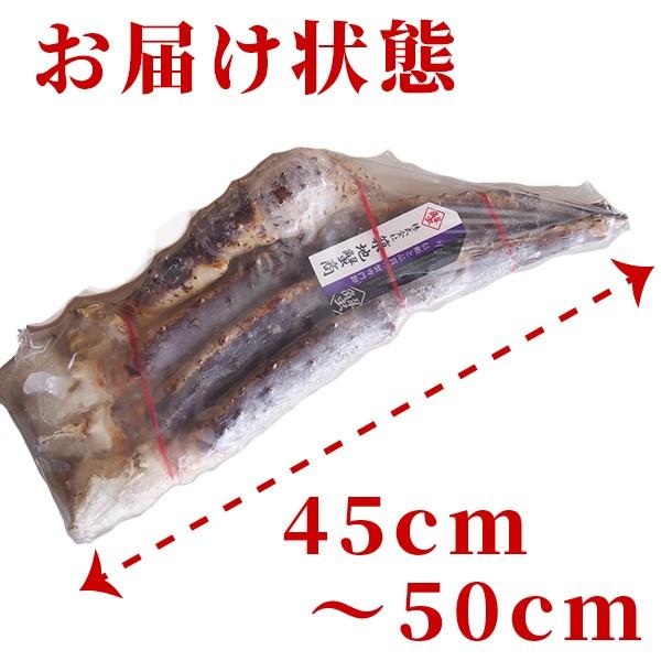 生たらばがに8lサイズ 衝撃の食べ応え プリプリ極太 特大 たらば蟹 タラバガニ ギフト がってん寿司 がってん寿司 Paypayモール店 通販 Paypayモール
