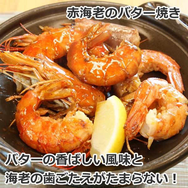 有頭赤えび2kg 送料無料/新鮮船上凍結(50尾前後) : がってん寿司