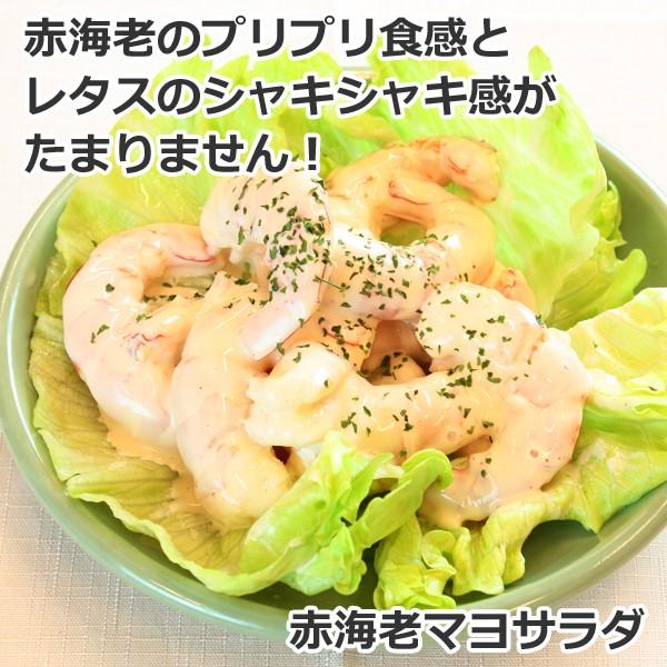 有頭赤えび2kg 送料無料/新鮮船上凍結(50尾前後) : がってん寿司