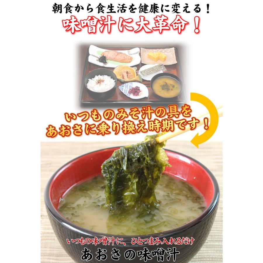 鹿児島県産あおさ海苔50g 送料無料 のり 海苔 アオサ ヒトエグサ ひと