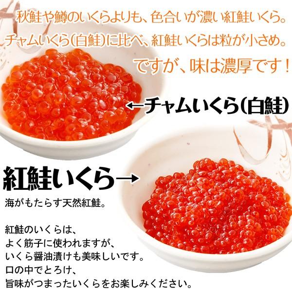 うのにもお得な紅鮭いくら醤油漬け500g(250g×2) イクラ がってん寿司