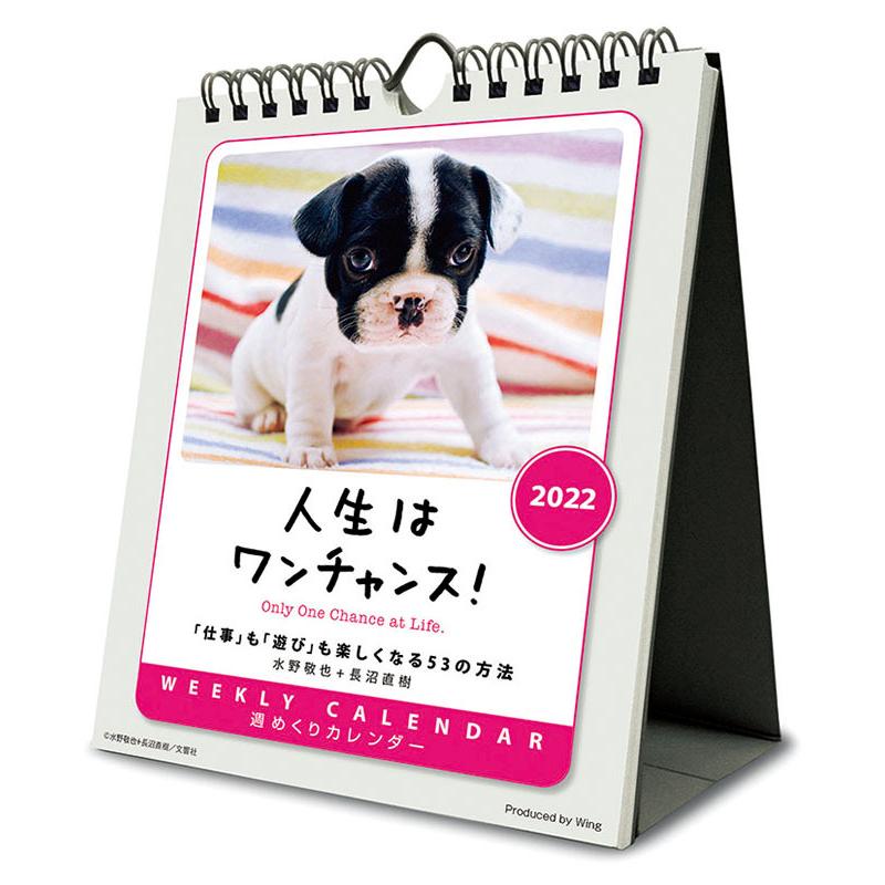 カレンダー 22 人生はワンチャンス 動物 Cl22 03 カレンダー販売のいい暦yahoo 店 通販 Yahoo ショッピング