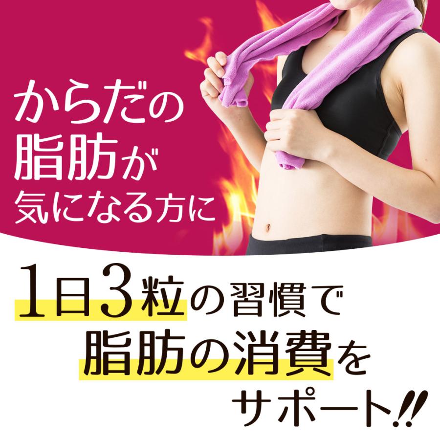 のエネルギ Neoスパイスブラックジンジャー 通信販売限定 10個送料無料 Paypayモール