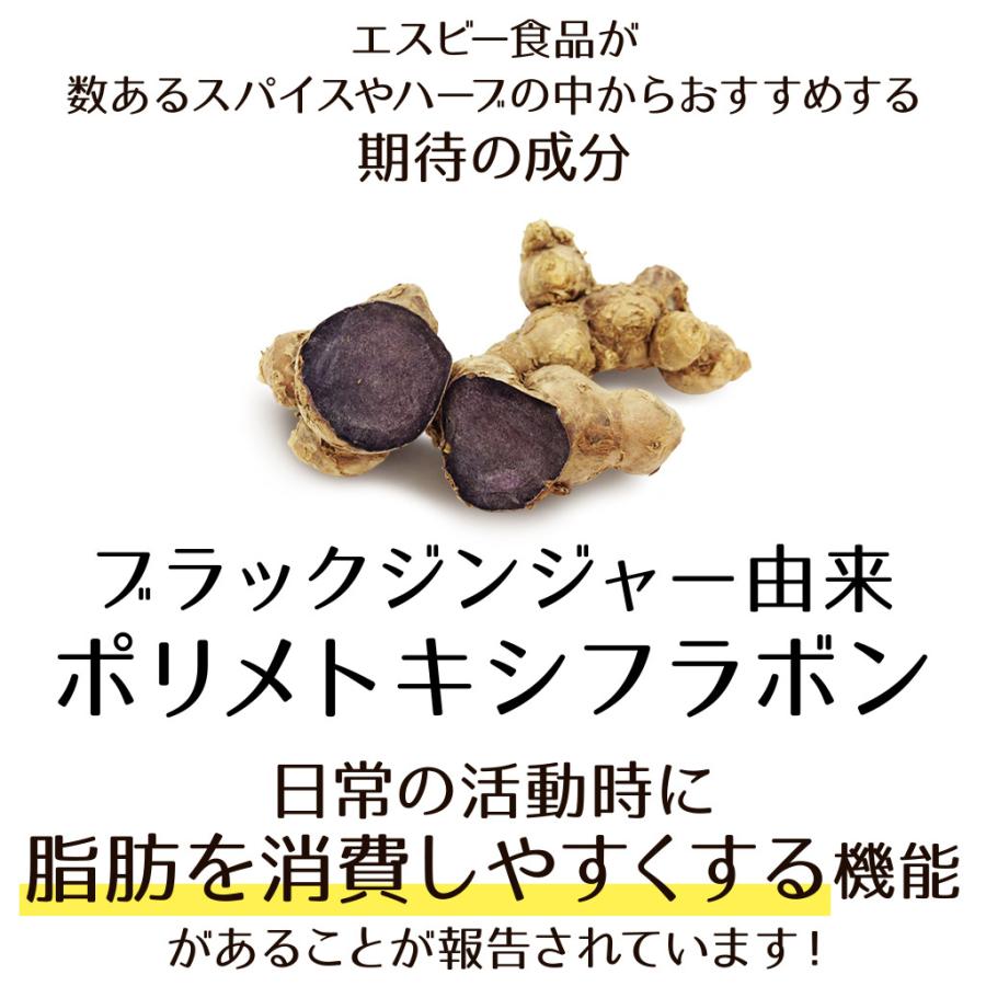 のエネルギ Neoスパイスブラックジンジャー 通信販売限定 10個送料無料 Paypayモール