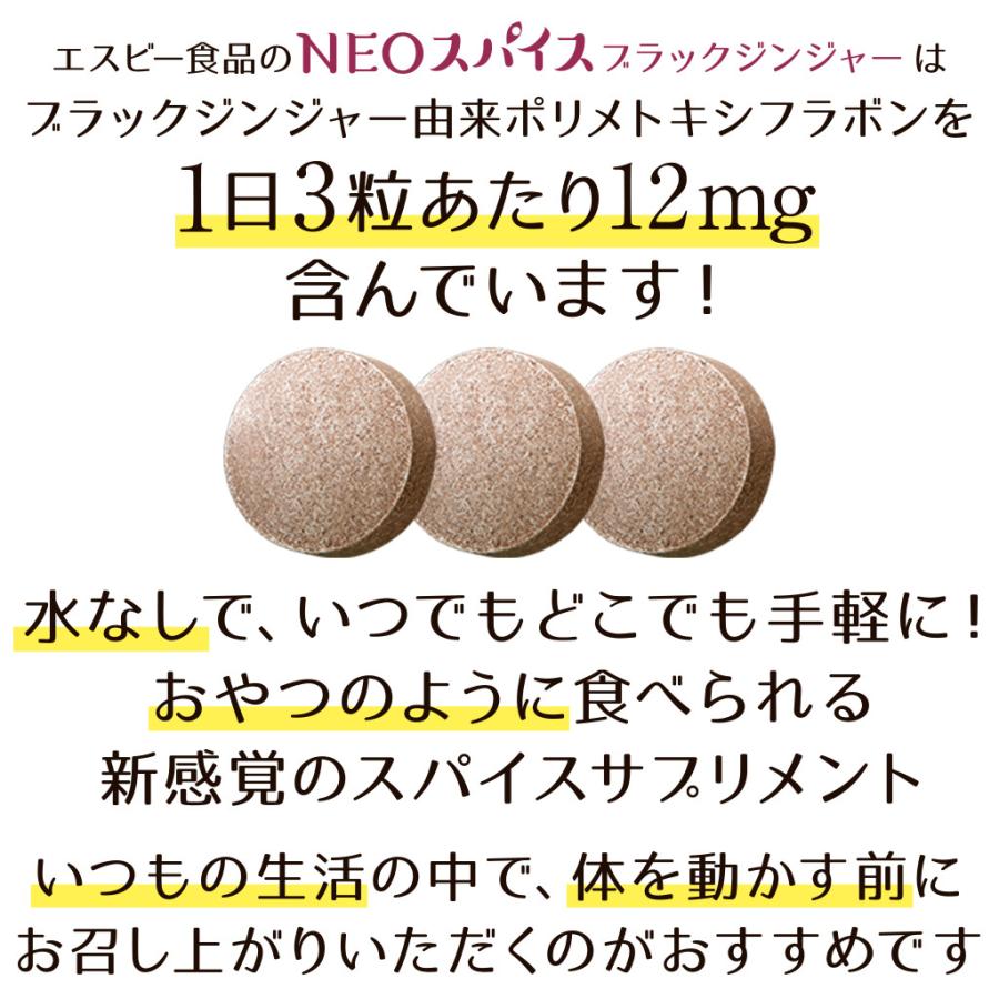 のエネルギ Neoスパイスブラックジンジャー 通信販売限定 10個送料無料 Paypayモール