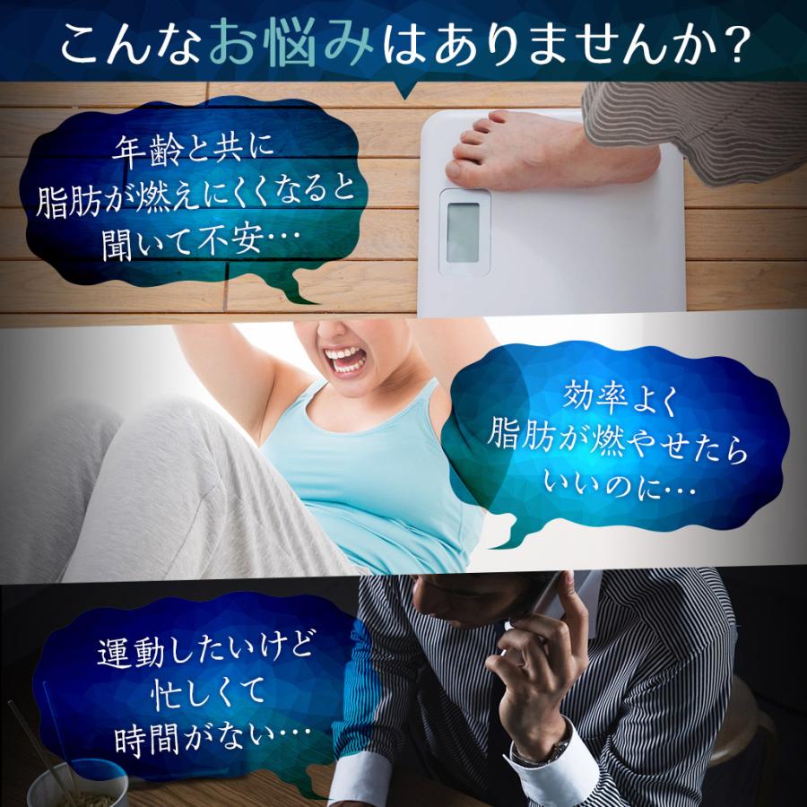 のエネルギ Neoスパイスブラックジンジャー 通信販売限定 10個送料無料 Paypayモール