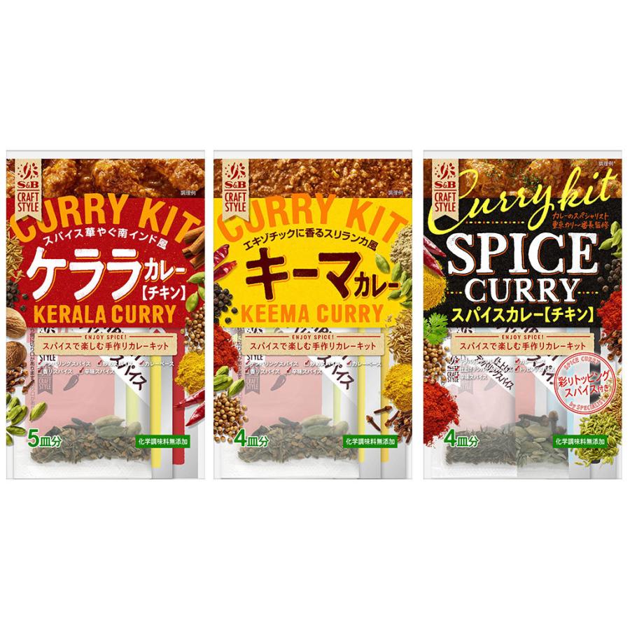 CRAFT STYLE 手作りカレーセット 3種セット 本格 スパイスカレー お試しセット エスビー食品公式｜e-sbfoods