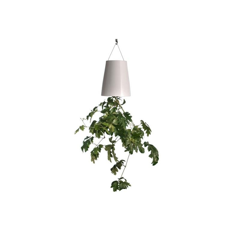 Skyplanter (スカイプランター)  / 逆さま自動給水プランター | 