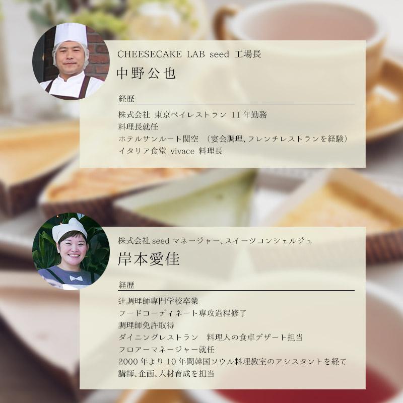 トライアングル チーズケーキ 15個セット 取り寄せ オーガニック スイーツ ギフト Cheesecake Triangle 15 Cheesecake Lab Seed 通販 Yahoo ショッピング