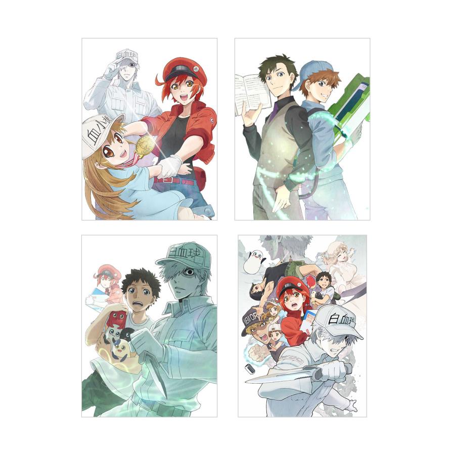 TVアニメ はたらく細胞!! 全巻 1-4 DVD セット : 脳トレ生活 - 通販