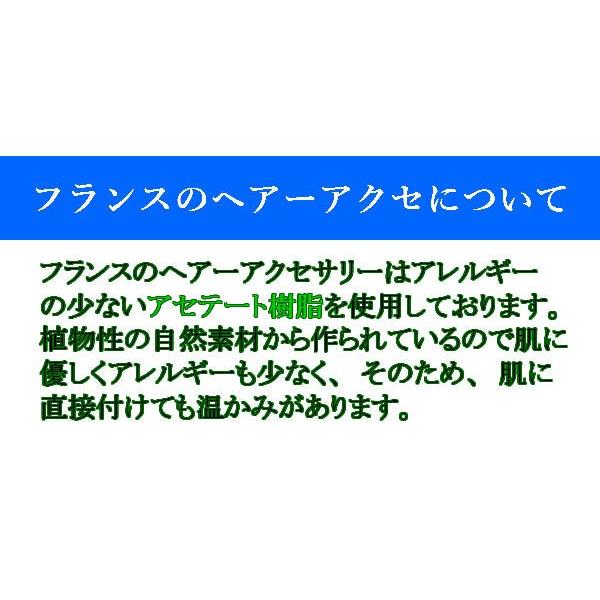 フランス製 バレッタスリムバレッタ フラット (10.5ｃｍ) |  | 10
