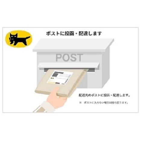 ワイエスパーク ヘアピン NO.11 (45本入)|e-select-plus|08