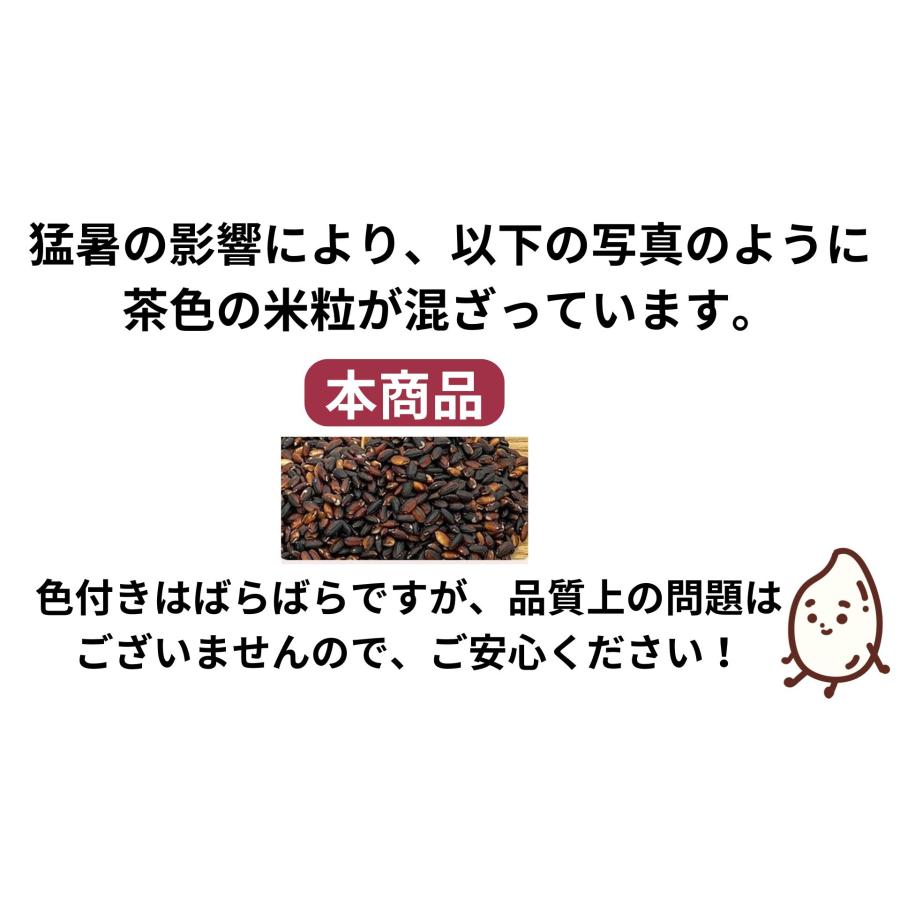 黒米・あさむらさき（訳あり商品・猛暑の影響による高温障害からお米の色付きが不十分で茶色のお米が混ざっております） |  | 02