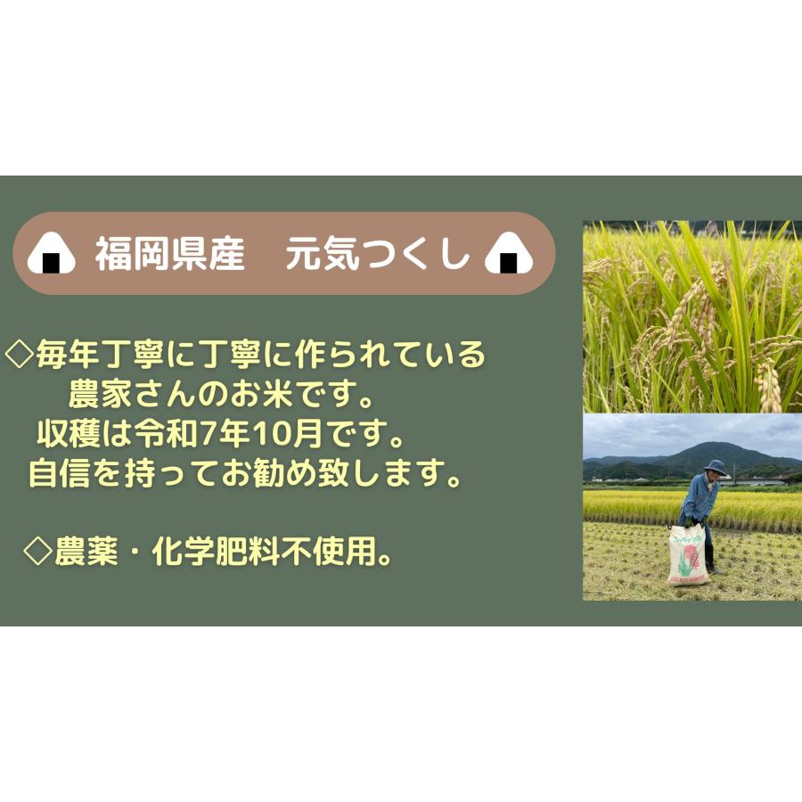 新米 福岡県産 【元気つくし10kg】（白米5kg×2）令和7年産　※金曜日のご注文は月曜日発送となります。 |  | 01