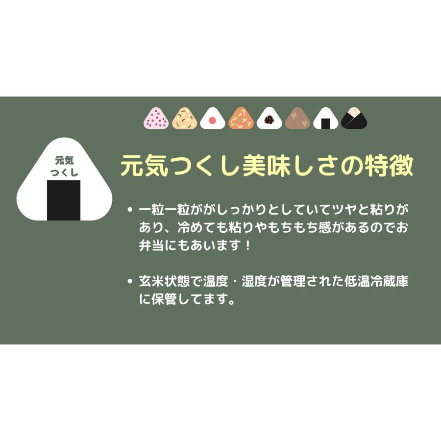新米 福岡県産 【元気つくし10kg】（白米5kg×2）令和7年産　※金曜日のご注文は月曜日発送となります。 |  | 02