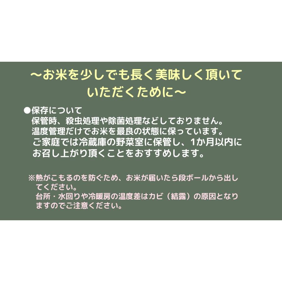 新米 福岡県産 【元気つくし10kg】（白米5kg×2）令和7年産　※金曜日のご注文は月曜日発送となります。 |  | 03