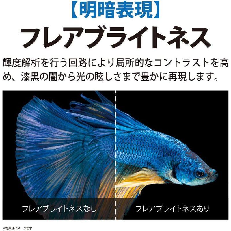 【タイムセール】 シャープ 65V型 4K テレビ AQUOS XLED 4TC65DP1 mini LED 量子ドット 立体音響 Android TV (2 【YWU2647776063】(93004円)