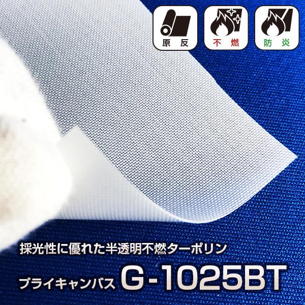 半透明不燃シート G 1025bt プライキャンパス ビニールシート カーテン 間仕切 建築 建設用 30m カーテン 原反販売 G 1025bt G1025bt E Sheet 間仕切 店