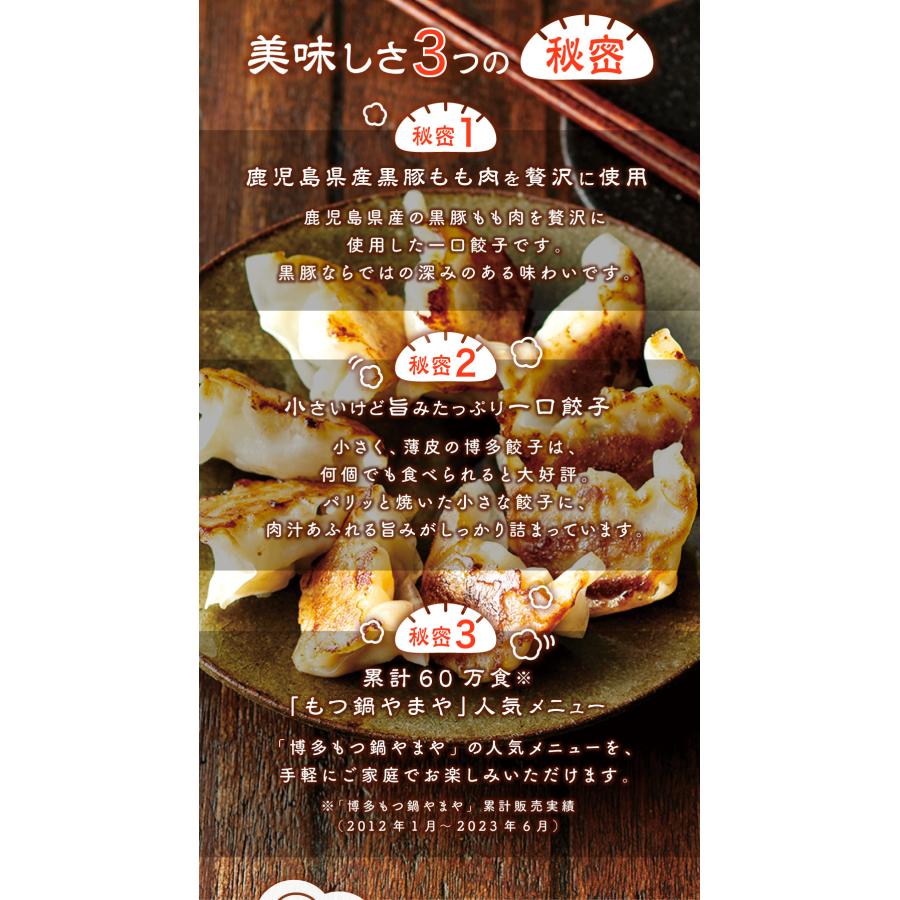 やまや 黒豚一口餃子40個入(九州 お取り寄せ グルメ おつまみ ご飯のお供 手土産 ギフト) ポイント利用 | 博多の味 やまや | 03