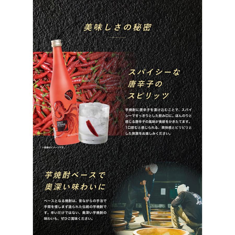 博多の味 やまや CRAZY OCTOPUS(クレイジーオクトパス) 720ml (焼酎
