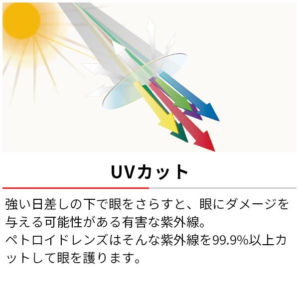 SWANS スワンズ サングラス 西部ライオンズ 源田壮亮選手 300本 SWANS スワンズ サングラス 西部ライオンズ 源田壮亮選手 300本