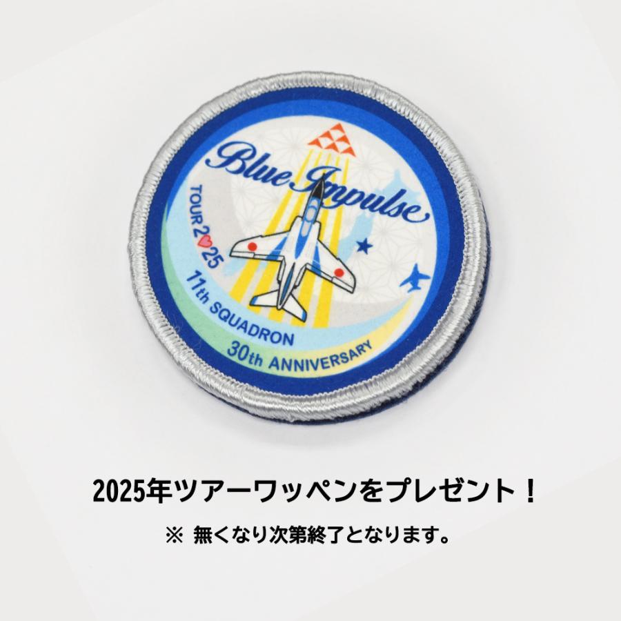 KENTEX（ケンテックス） 腕時計 ブルーインパルス Blue Impulse チタン