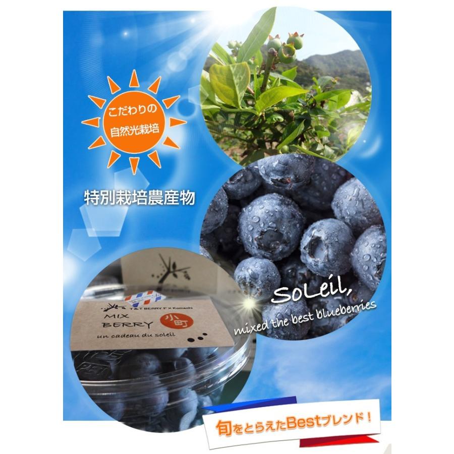生ブルーベリーフレッシュミックス 125g×４パックセット合計約500g