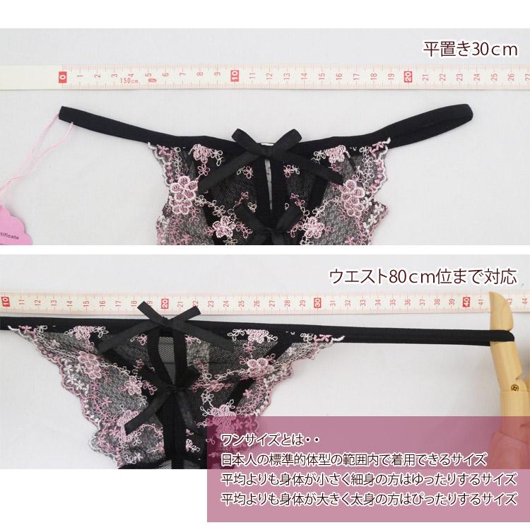 Ravijour★ベビードール★Tバックショーツパンツ下着★透けレースBLACK RAVIJOUR（ラヴィジュール） エルザ エンブロイダリーレース Tバック