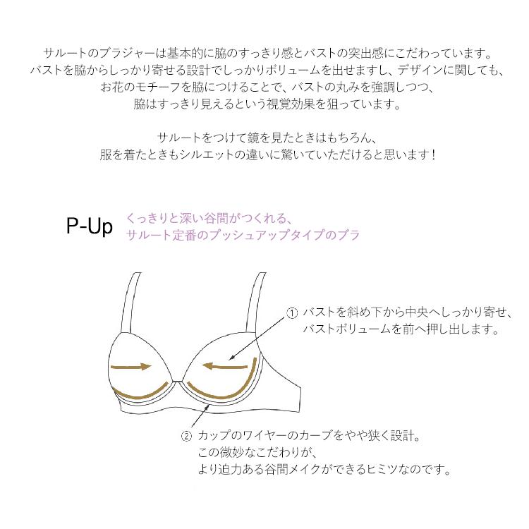 Salute◆06G◆P-アップブラ&amp;ソングM　Ｌサイズ♥ サルート（SALUTE） ワコール 06G ブラジャー P-up プッシュアップ