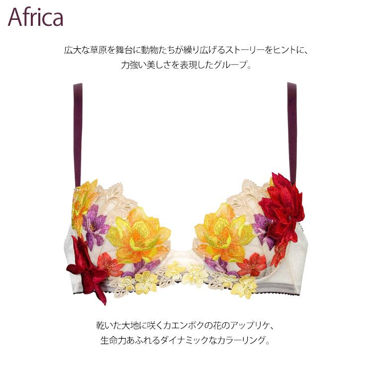 サルート ワコール 30 グループ 新作 セール P-up ブラジャー