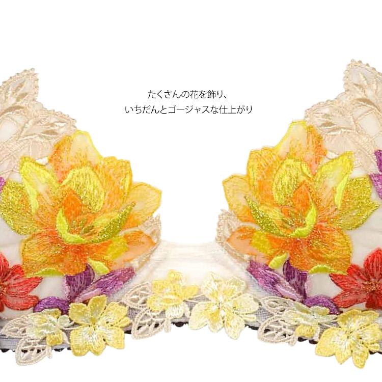 店舗限定！ワコール サルート19Gブラジャー Tバック ソングセットF65-M