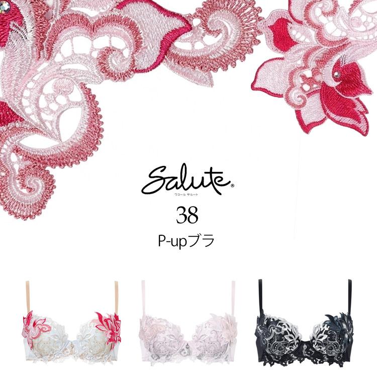ワコール サルート 38G P-UP ブラジャー DEF プッシュアップ 38グループ 谷間 Wacoal Salute BTJ438 26SSの画像