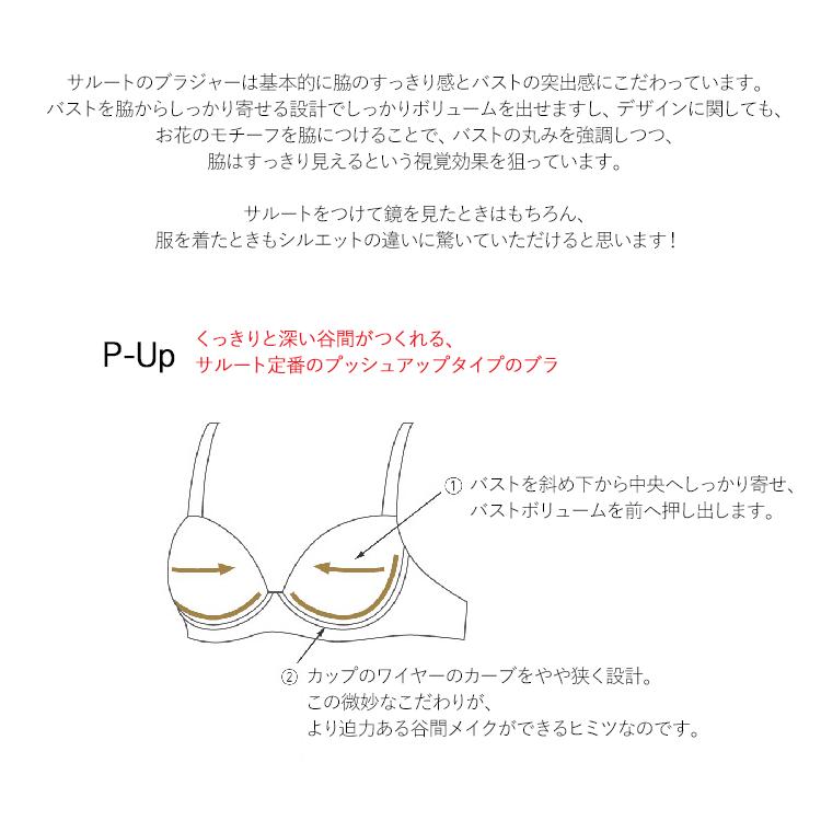 ワコール サルート 38G P-UP ブラジャー DEF プッシュアップ 38グループ 谷間 Wacoal Salute BTJ438 26SSの画像