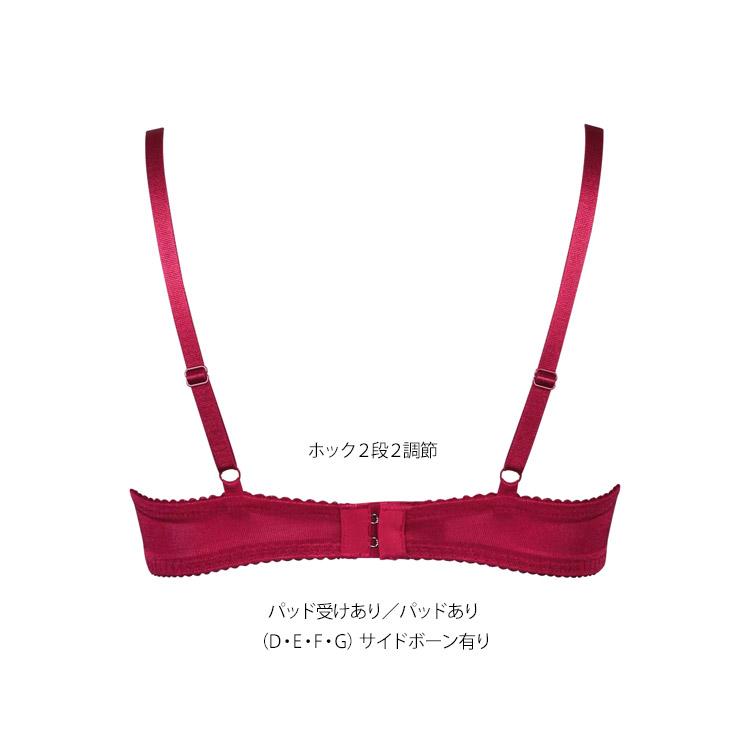 サルート（SALUTE） ワコール 70 VIVA LINE ブラジャー Gカップ