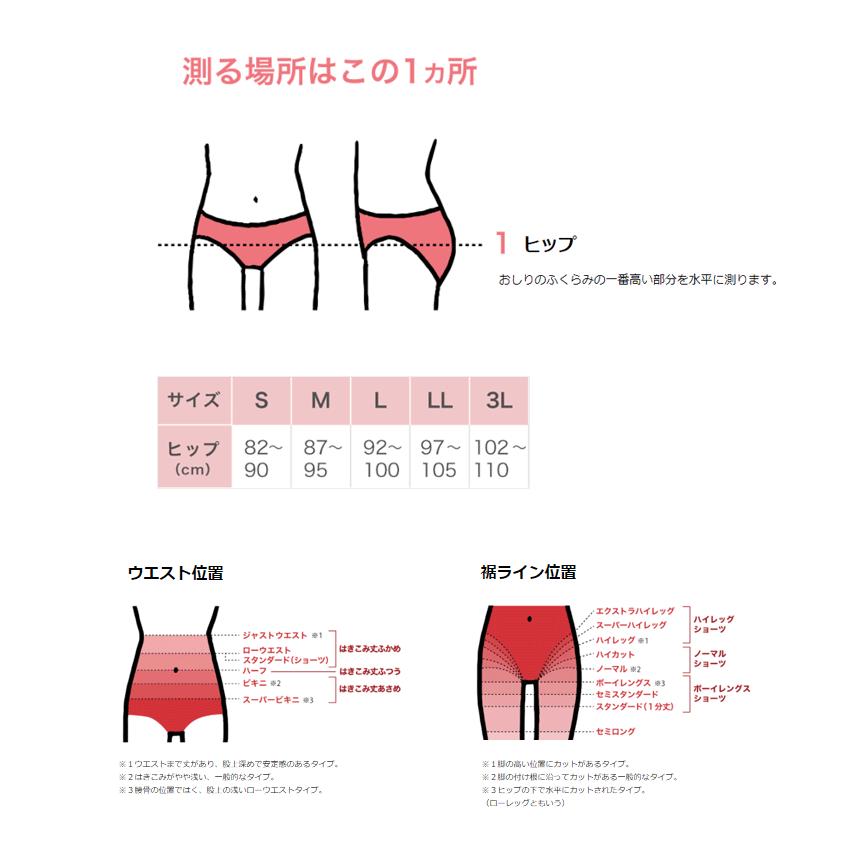 ウィング ショーツ ふかめ M~L LLサイズ よく伸びてつつみこむ デイリーフィット ヒップフィット ノーマル パンツ はきやすい オススメ 女性用下着｜e-sitagi｜16