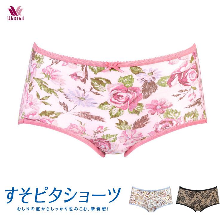 専用【ワコール】すそピタショーツ 綿混 　LL　ふつう　新品 WACOAL ワコール すそピタ ショーツ はきこみ丈ふつう ノーマル
