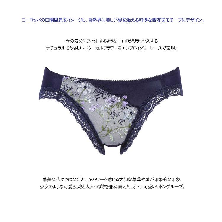 リボンブラ LLサイズ ワコール スタンダードショーツ 脇高タイプ リボンブラ LLサイズ ワコール スタンダードショーツ 脇高タイプ