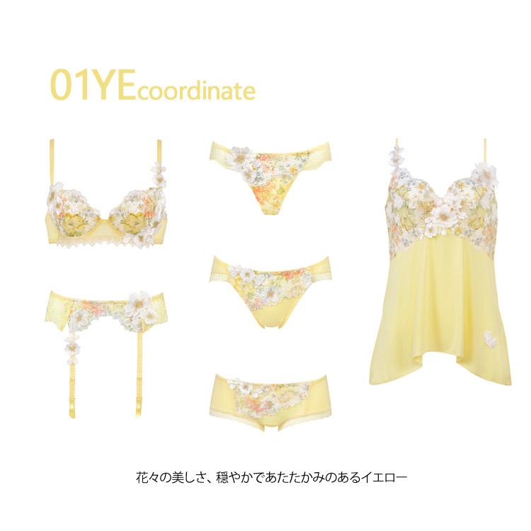うみか サルート Tバック ワコール サルート 06G ショーツ PTJ406 M・L ソング（Tバック